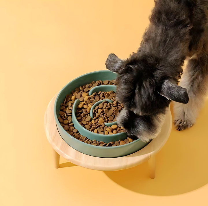 BowLift | SlowCeramic - Elegant Craft Feeding Bowl for Pets