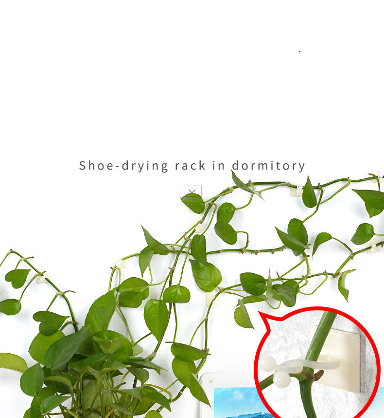 BowLift | Climbing Wall Mounting Clips – Practical Plant Holders for Wall Decoration