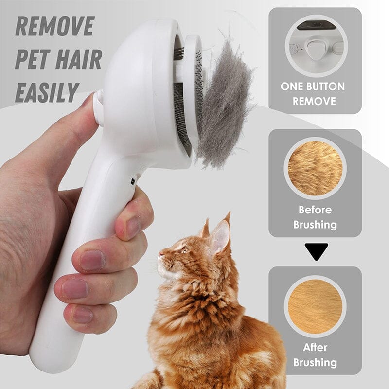 BowLift | Spray Cat Brush