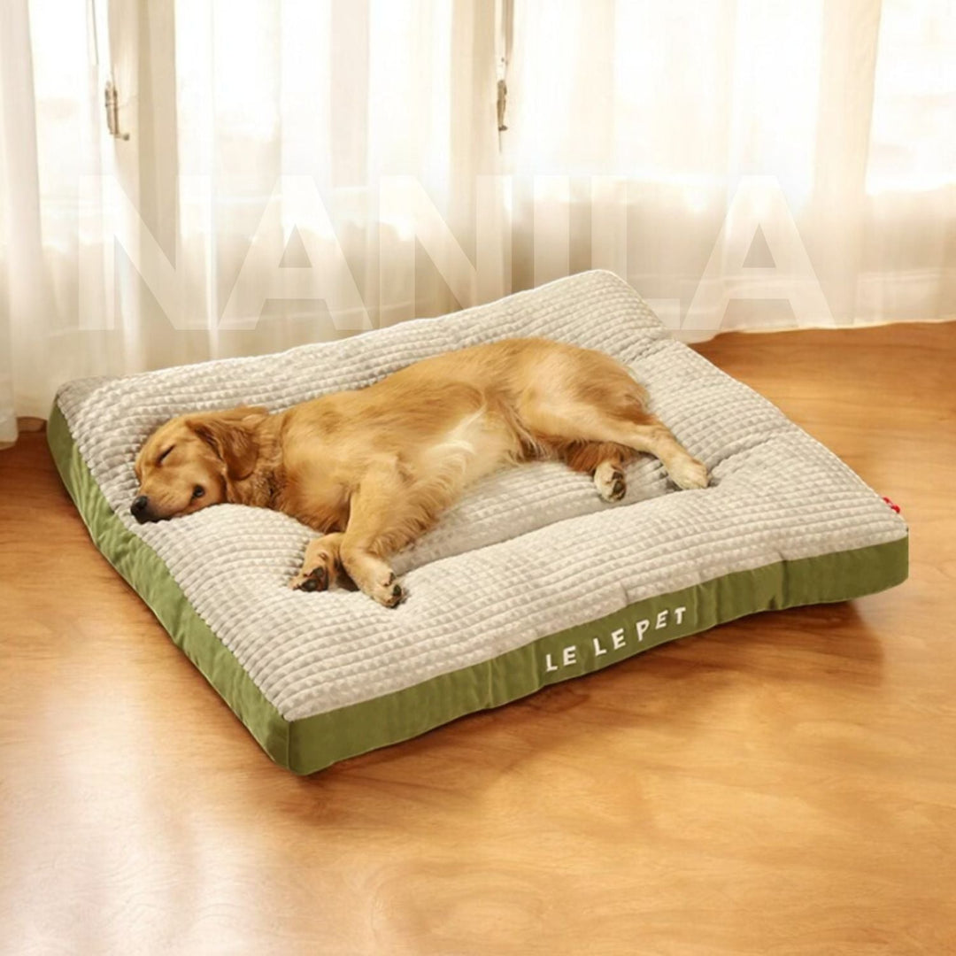BowLift | SnoozePaw Luxury Dog Bed – Robust Foam, Removable Covers and Optimal Support