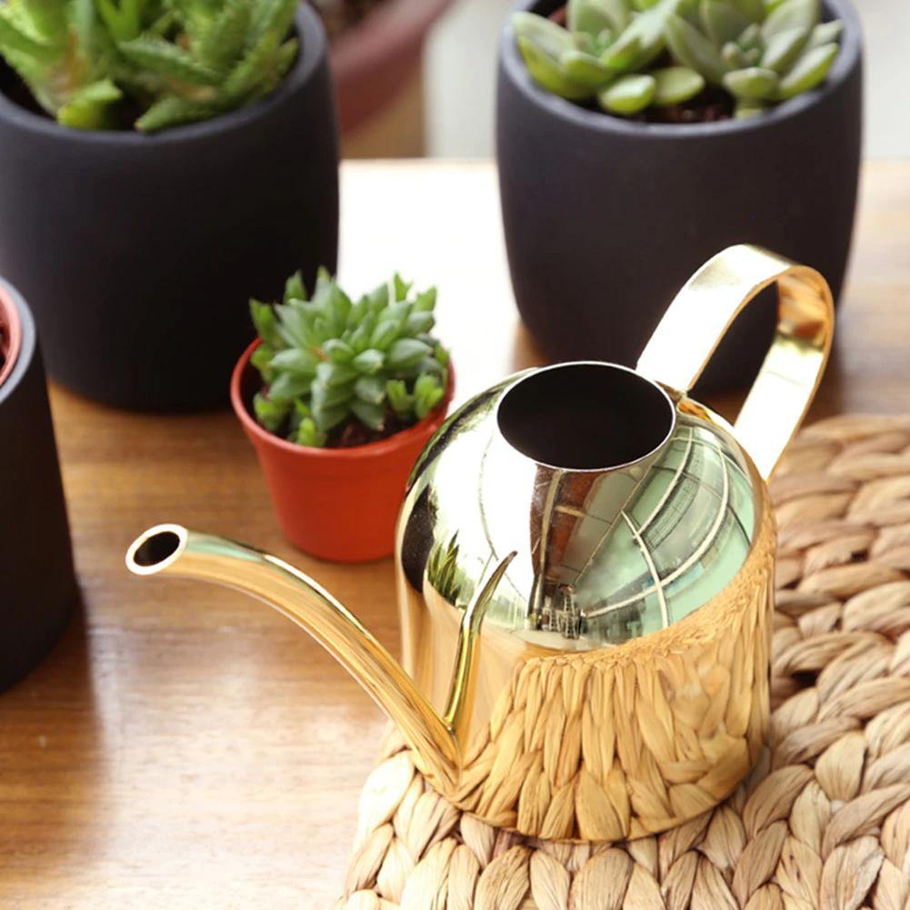 BowLift | AquaGrace Stainless Steel Watering Can with Flexible Neck | Modern Design | Perfect Watering | Rustproof