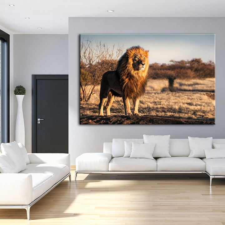Majestic Lion Bathed In Sunlight - Canvas Wall Art Painting | Bowlift
