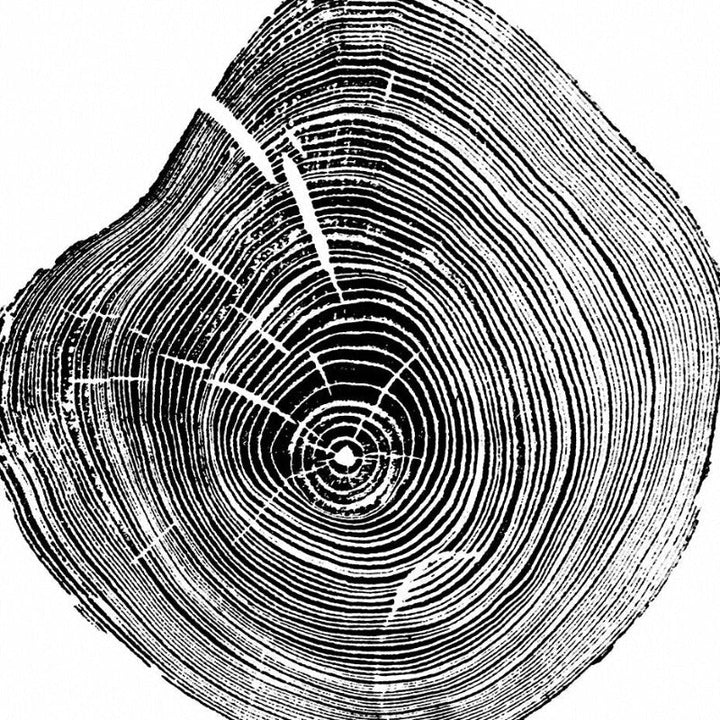 Tree Annual Rings Black and White - Canvas Wall Art Painting | Bowlift