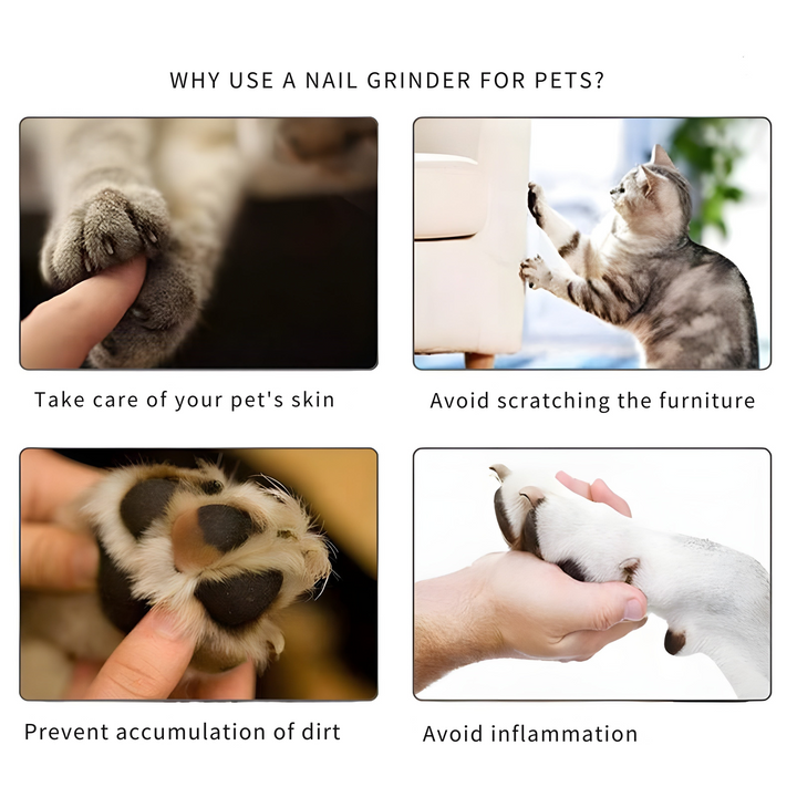 BowLift | Pet Nail Grinder | Quiet & Safe Claw Trimmer | Rechargeable USB Grooming Tool