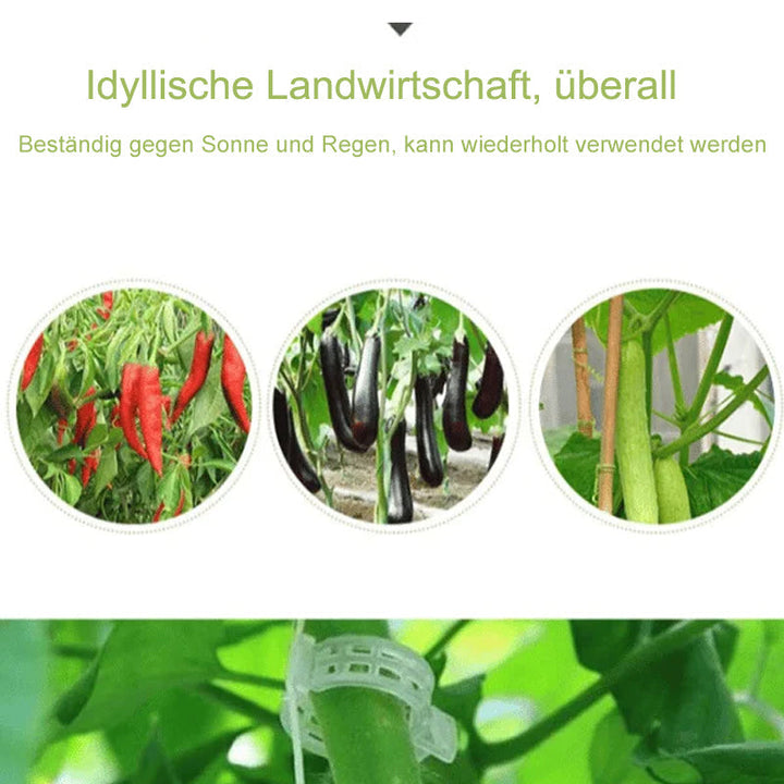 BowLift | Practical Plant Support Clip