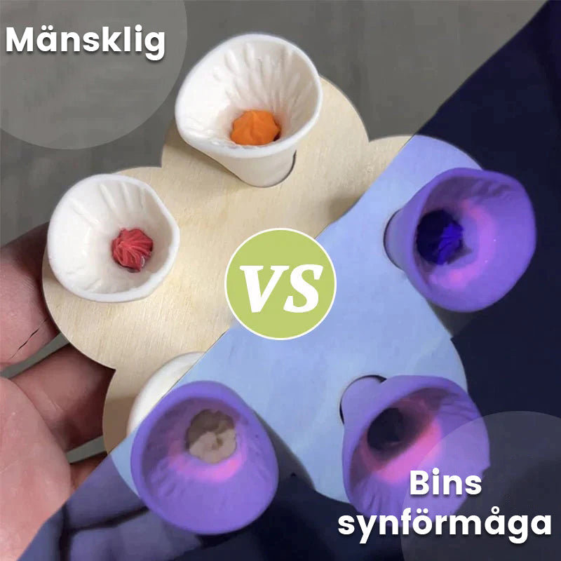 BowLift | Drinking cup for bees and insects