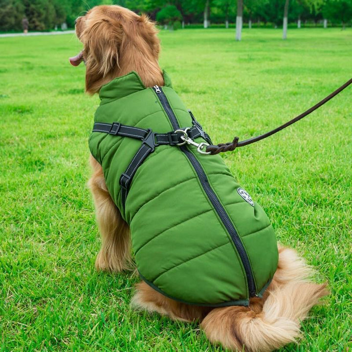 Winter coat with zipper for dogs | Bowlift