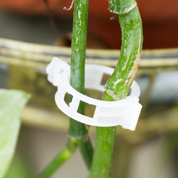 Practical Plant Support Clip | Bowlift
