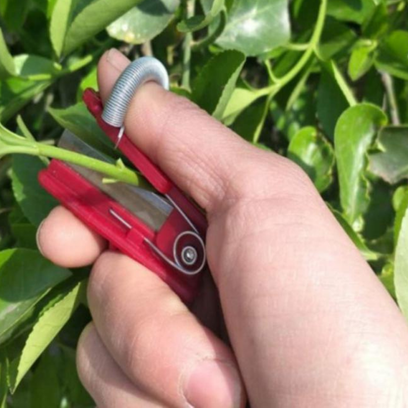 BowLift | GardenGrip | Easily harvest your own vegetables and fruit with this handy tool!