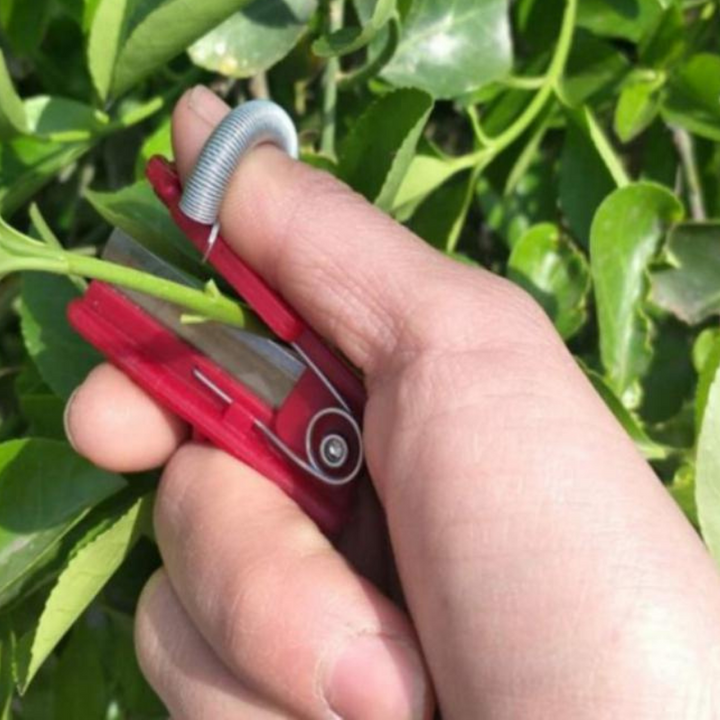 BowLift | GardenGrip | Easily harvest your own vegetables and fruit with this handy tool!