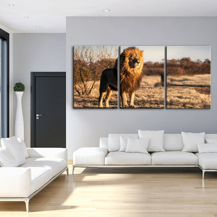 Majestic Lion Bathed In Sunlight-Canvas Wall Art Painting 3 Pieces | Bowlift