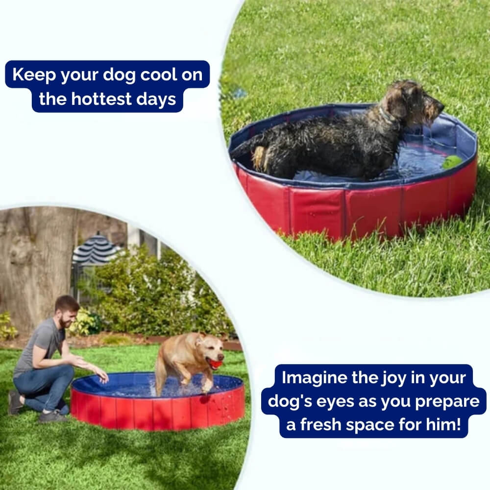 SplashZone • Dog Pool