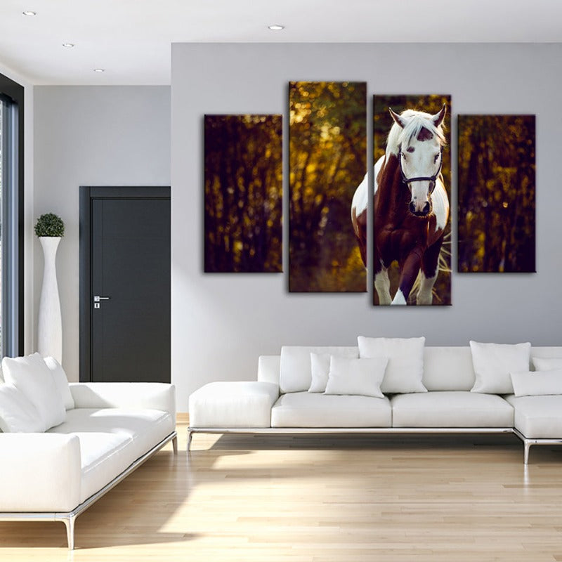 4 Piece Courtly Overo Horse - Canvas Wall Art Painting | Bowlift