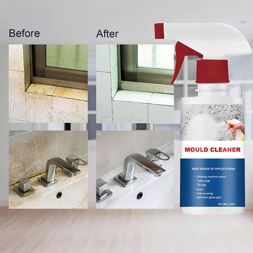 BowLift | Mold Cleaner Foam