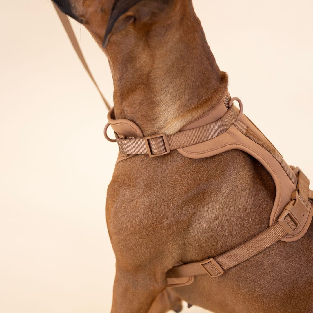 BowLift | ComfyPaws Dog Harness Walking Set with Leash and Poop Bag Holder