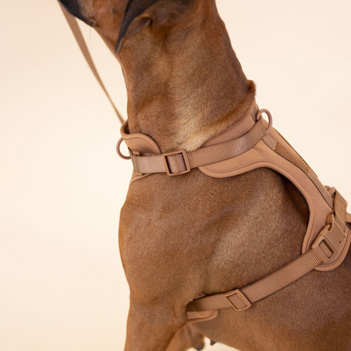 BowLift | ComfyPaws Dog Harness Walking Set with Leash and Poop Bag Holder