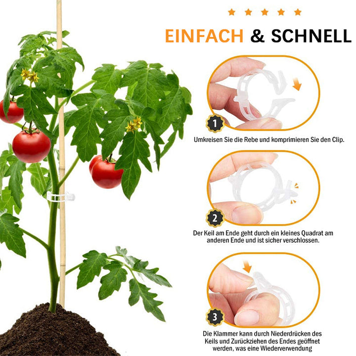 Plastic ring for holding plants | Bowlift