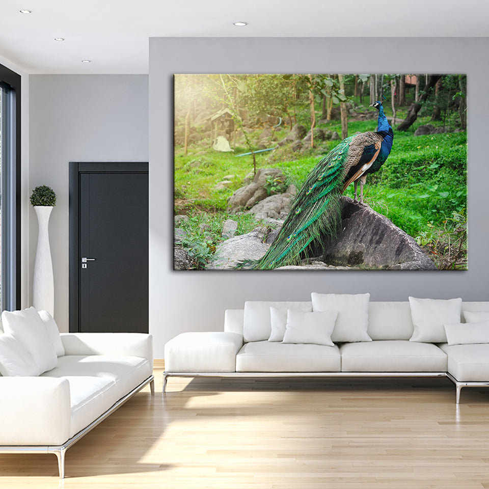Dignified Sunlit Peacock - Canvas Wall Art Painting | Bowlift