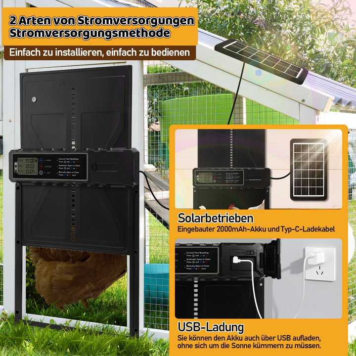Electric Chicken Coop Door Solar with LED Display and Remote Control | Bowlift