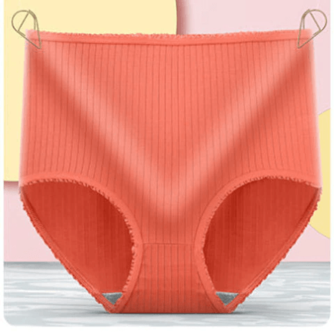 BowLift | Leak Proof Cotton Briefs Women’s Underwear Set