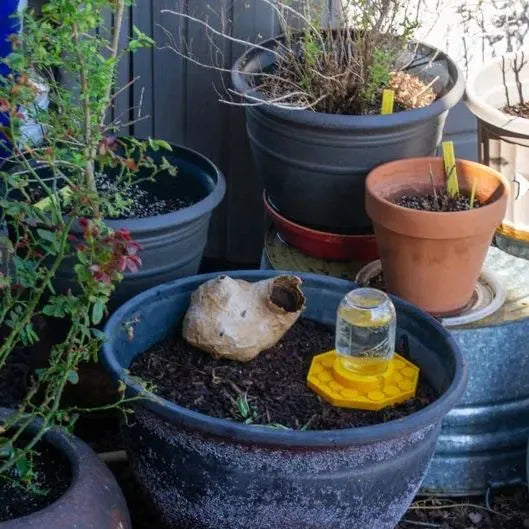 BowLift | BuzziNest — Protect your bees and make your garden a blooming dream of life!