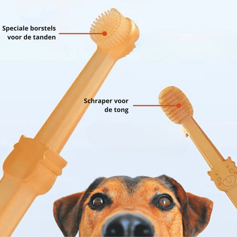 BowLift | DOGGYDENT – Silicone finger toothbrush for gentle dental care for dogs & cats