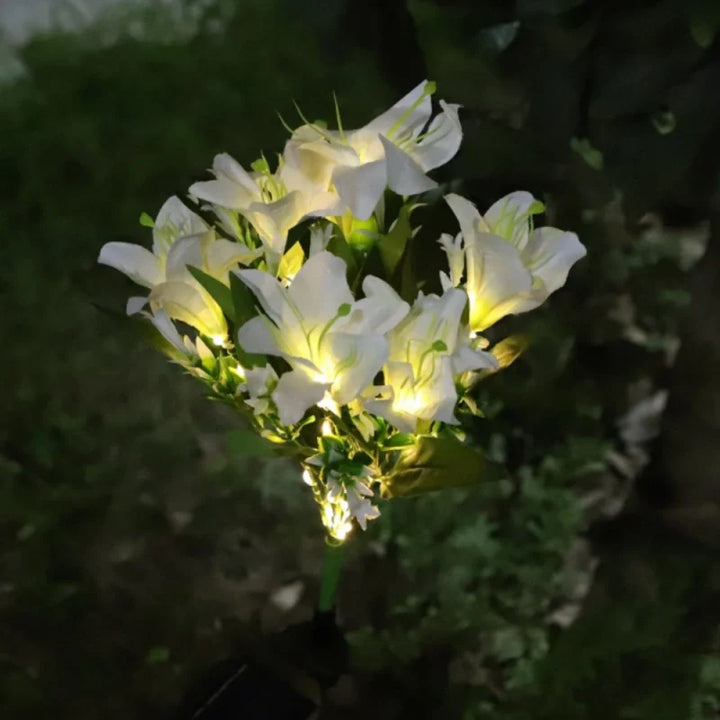 BowLift | Everbloom Solar Flower Lights