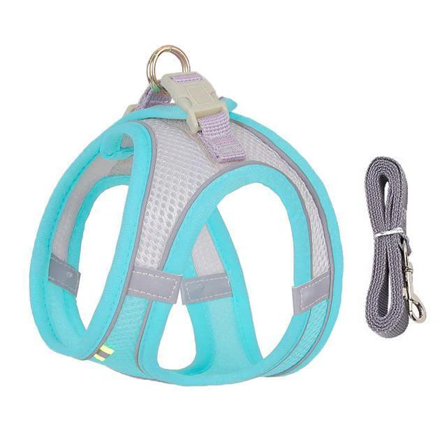 BowLift | Adjustable Harness and Leash Set for Small Dogs and Cats
