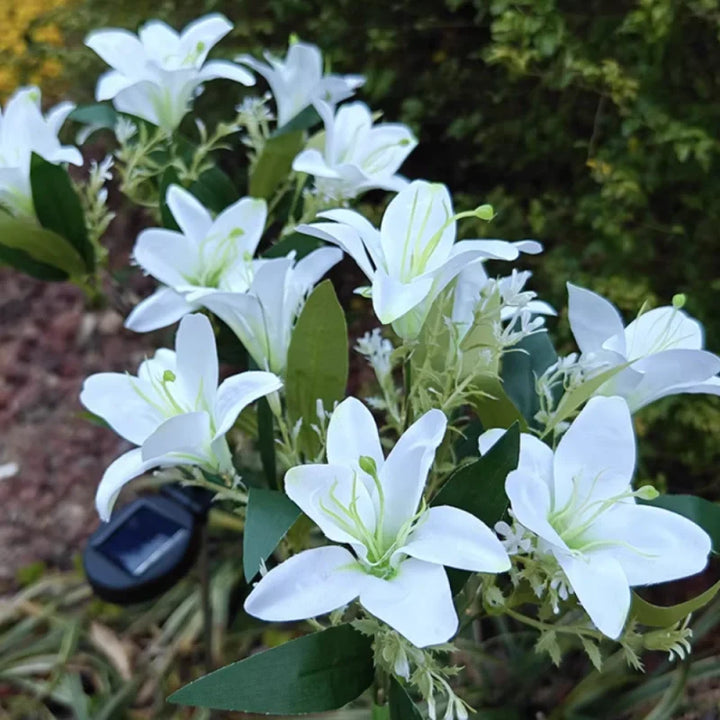 BowLift | Everbloom Solar Flower Lights