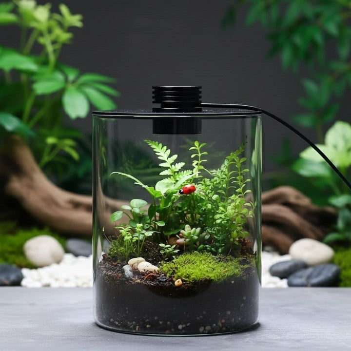 BowLift | Mini Forest Maker Terrarium Decor Vase