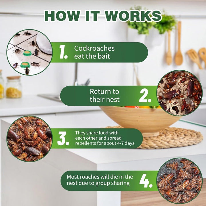 BowLift | Child- & Pet-Safe Roach Bait Discs