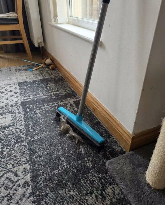 FurCleer — Put an end to pet hair and feel free in your home | Bowlift