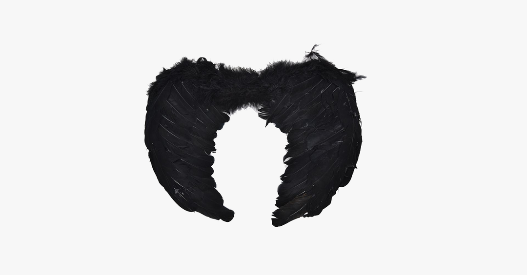 BowLift | Angel Wings Halloween Costume
