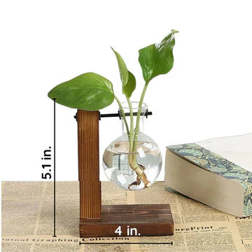 BowLift | Wooden Frame Hydroponic Plant Vase