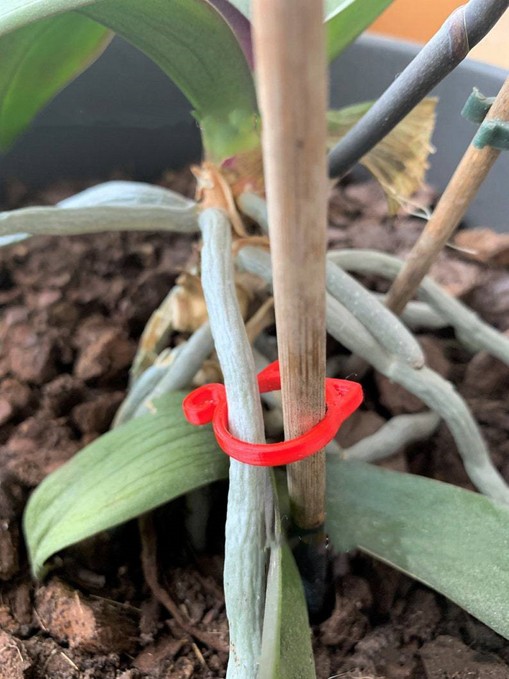 BowLift | Cat-shaped Plant Clip – Cute Plant Support for Garden and House Plants