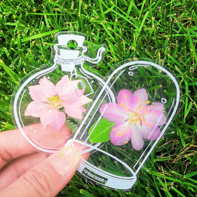 BowLift | Transparent dried flower bookmarks (30 pieces/set)
