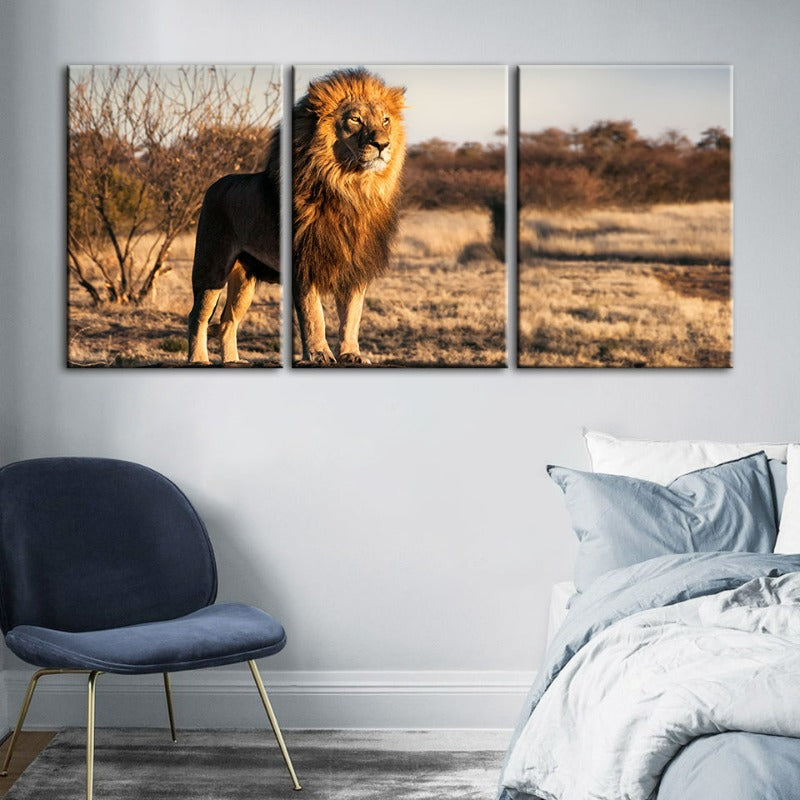 Majestic Lion Bathed In Sunlight-Canvas Wall Art Painting 3 Pieces | Bowlift