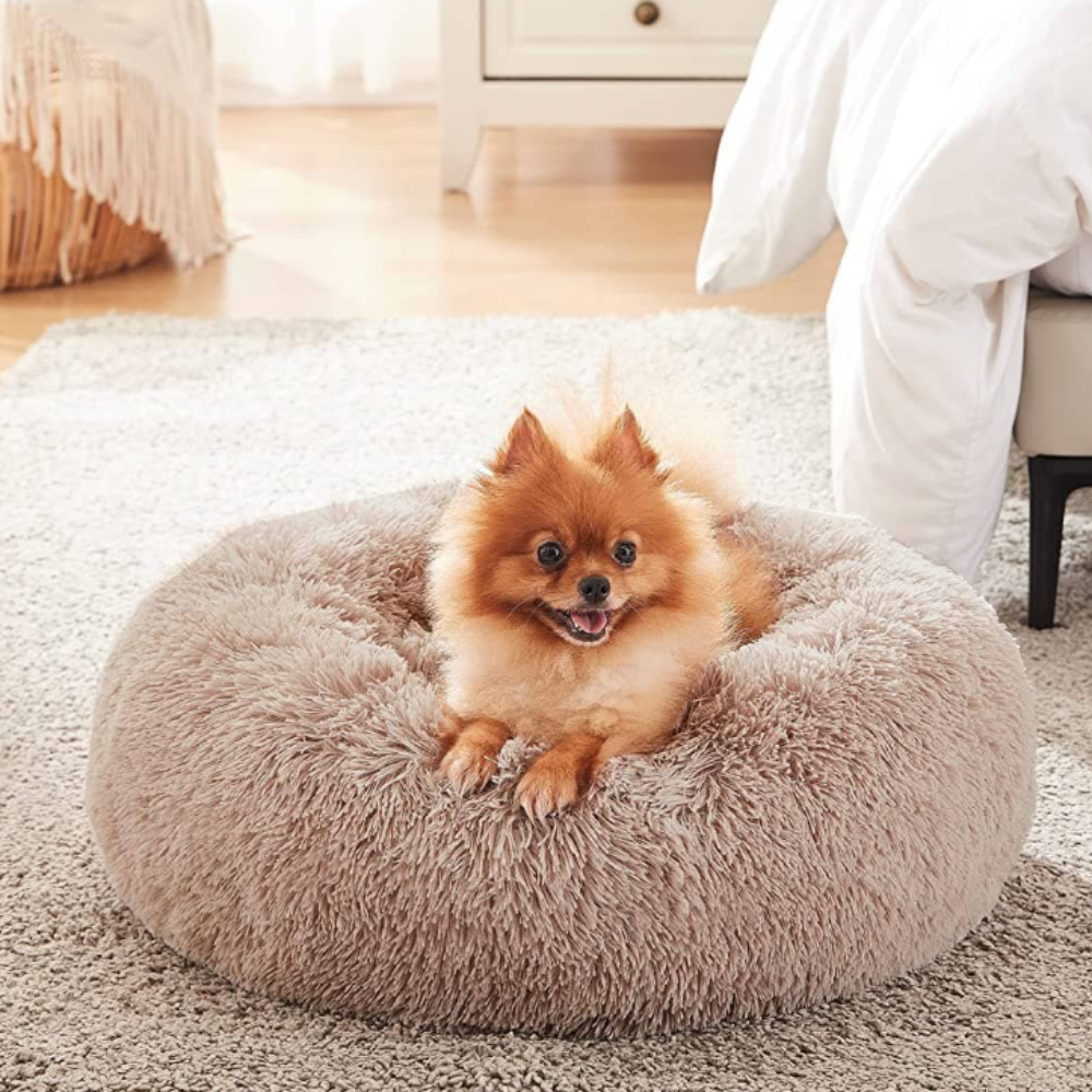 CalmNest • Anxiety-Reducing Pet Bed