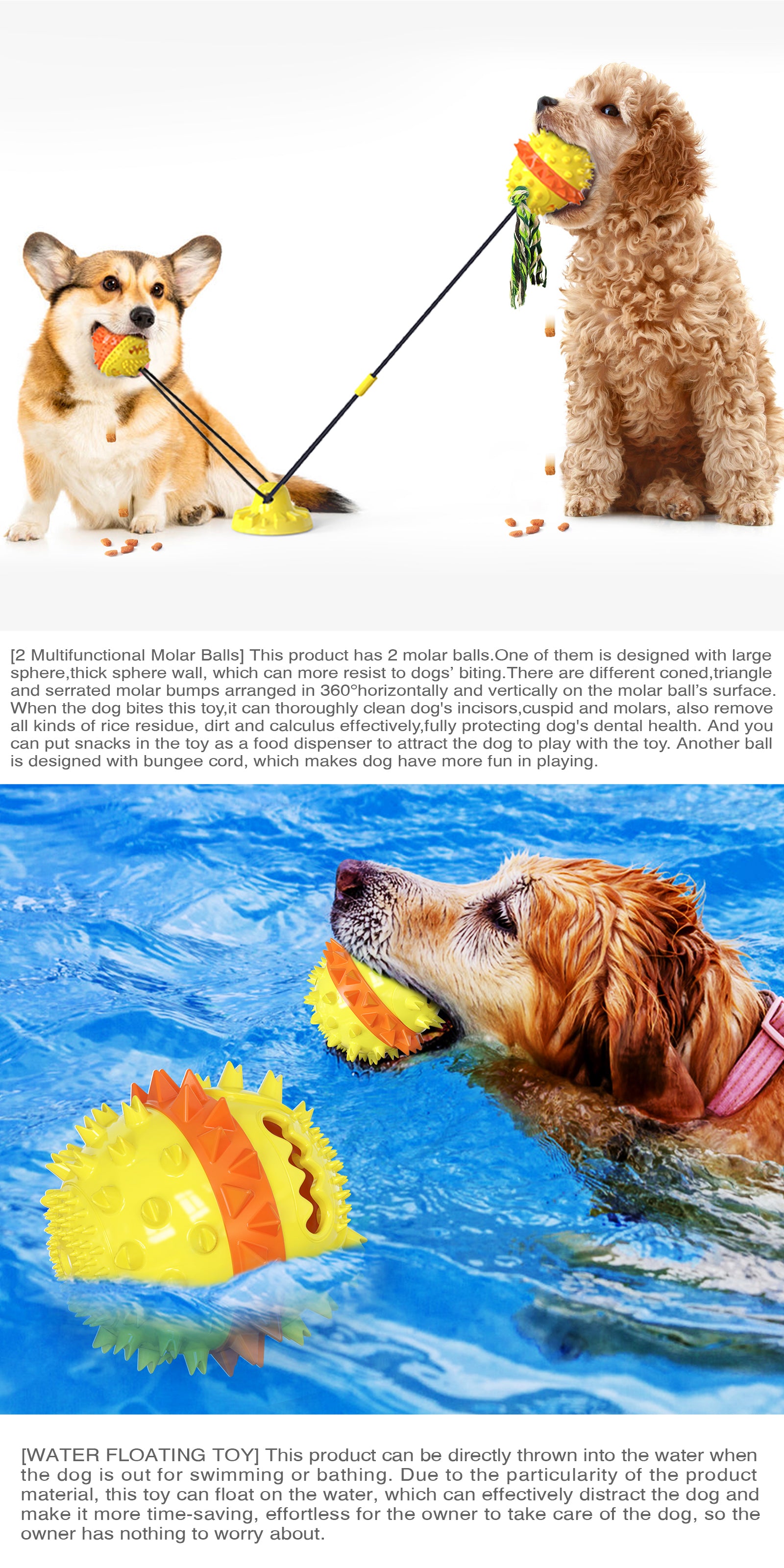 Enhanced Suction Cup Rope Ball Type B – Double Ball Chew Toy for Dogs