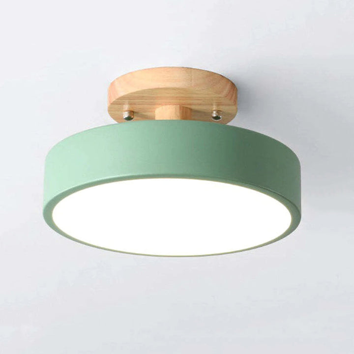 Alaric Modern LED Ceiling Lamp | Bowlift