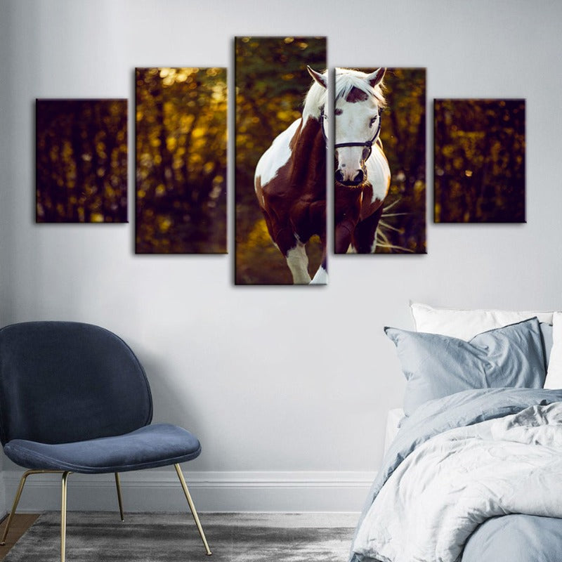5 Piece Courtly Overo Horse - Canvas Wall Art Painting | Bowlift