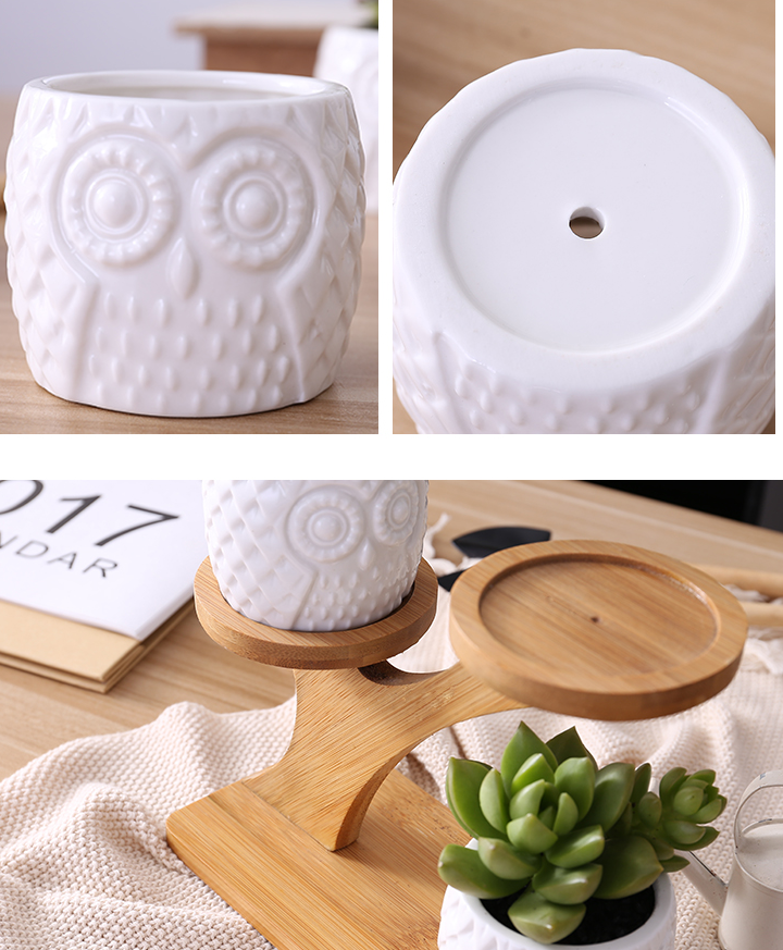 BowLift | Decorative plant stand made of wood – plant pots in owl design for succulents and indoor plants