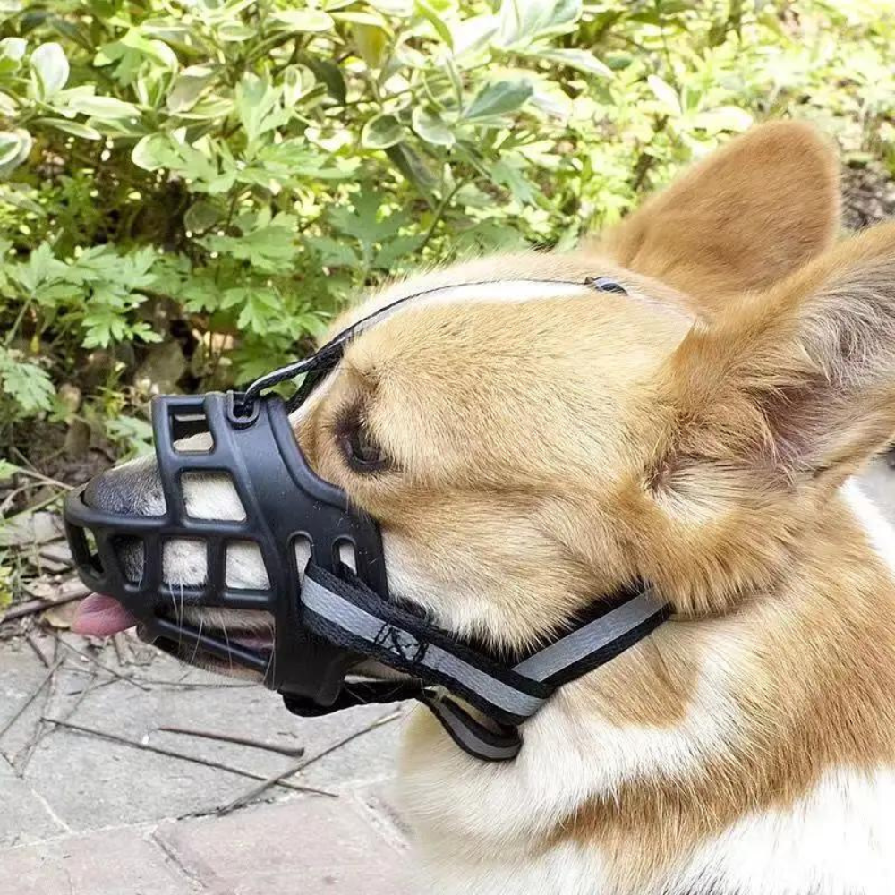 SecureFit  • Dog Muzzle