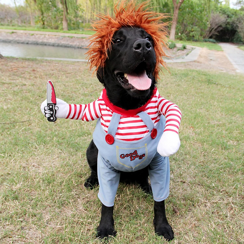 Chucky Pet Halloween Costume – Enhance Your Pet’s Playful Personality Bowlift
