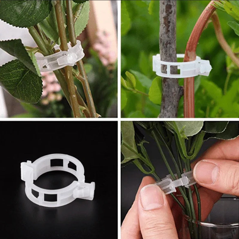Plant support clips | Bowlift