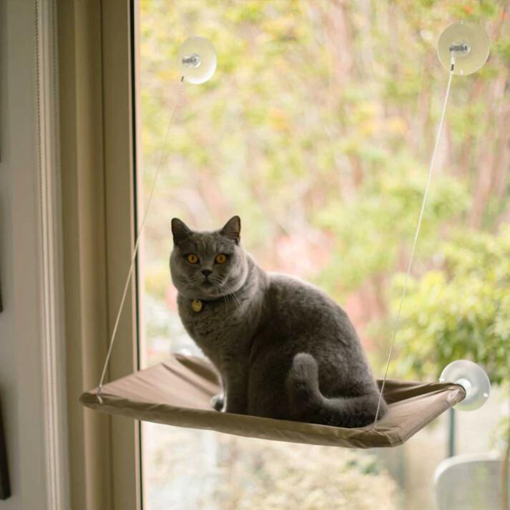 CloudNest • Cat Window Hammock