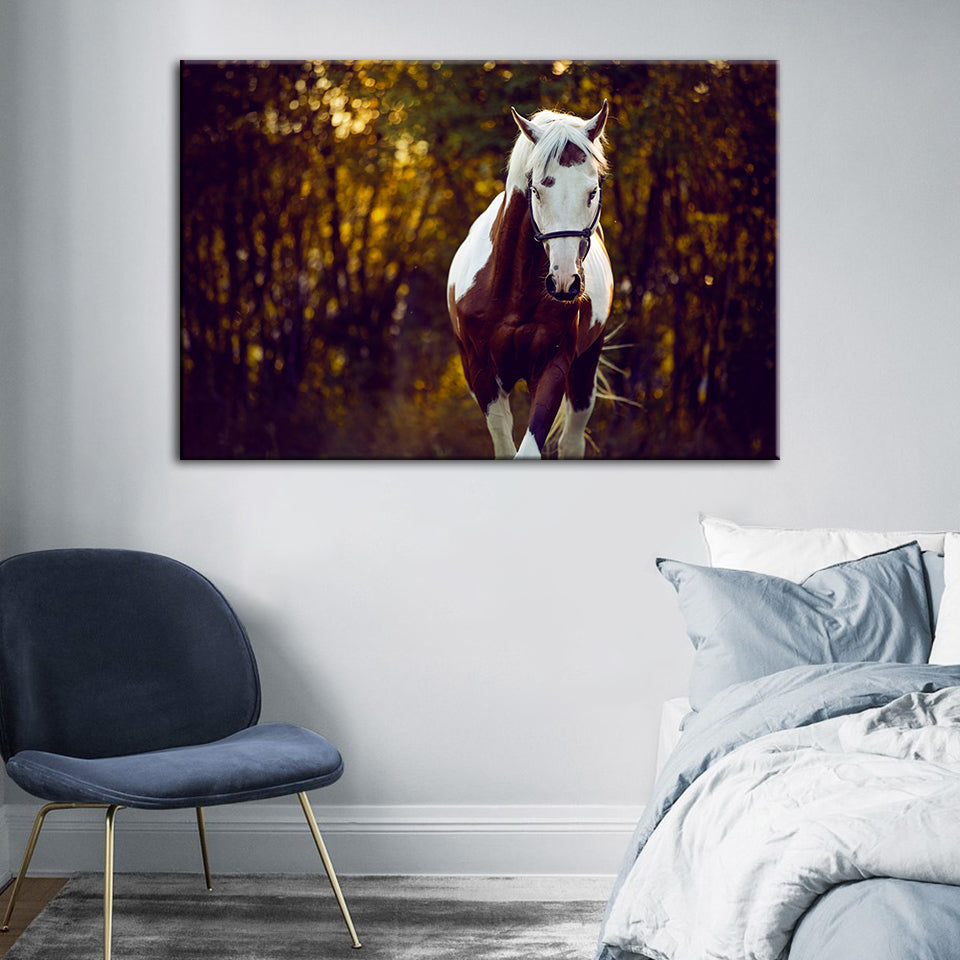 Courtly Overo Horse - Canvas Wall Art Painting | Bowlift