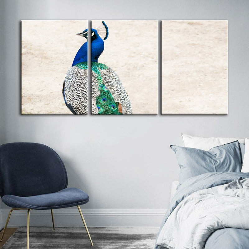 Skirted Elegant Peacock-Canvas Wall Art Painting 3 Pieces | Bowlift
