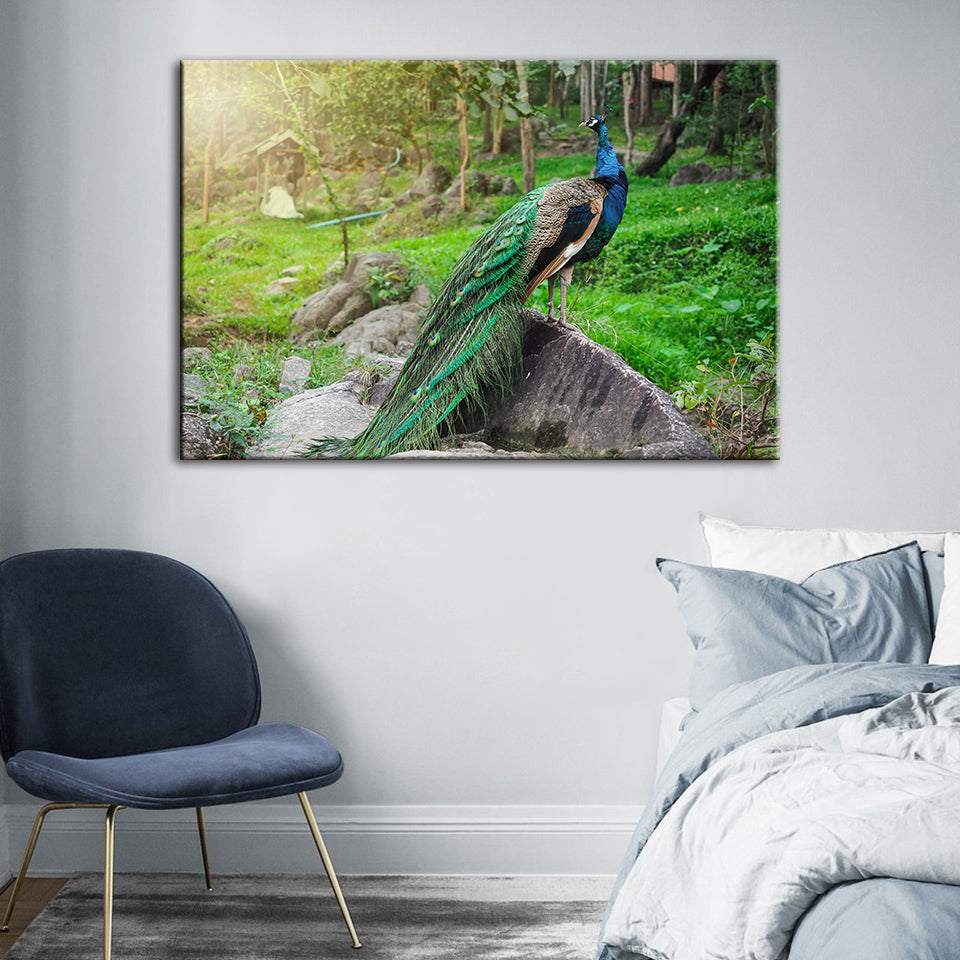 Dignified Sunlit Peacock - Canvas Wall Art Painting | Bowlift