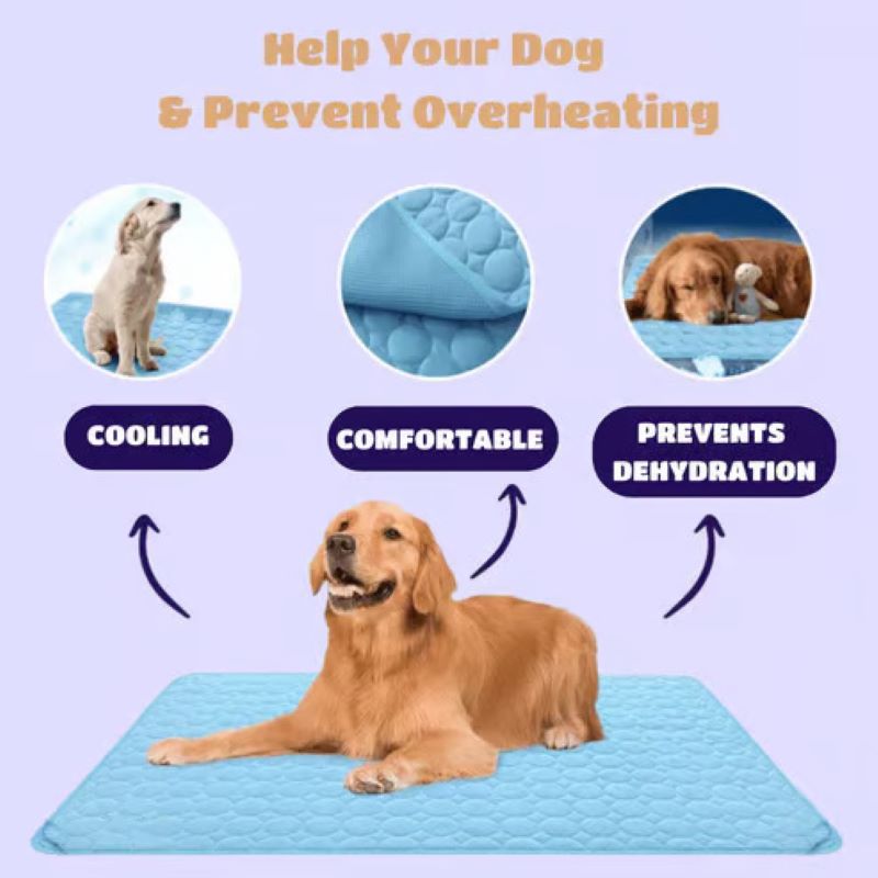 BowLift | Cooling Mat for Dogs (4x More Effective)